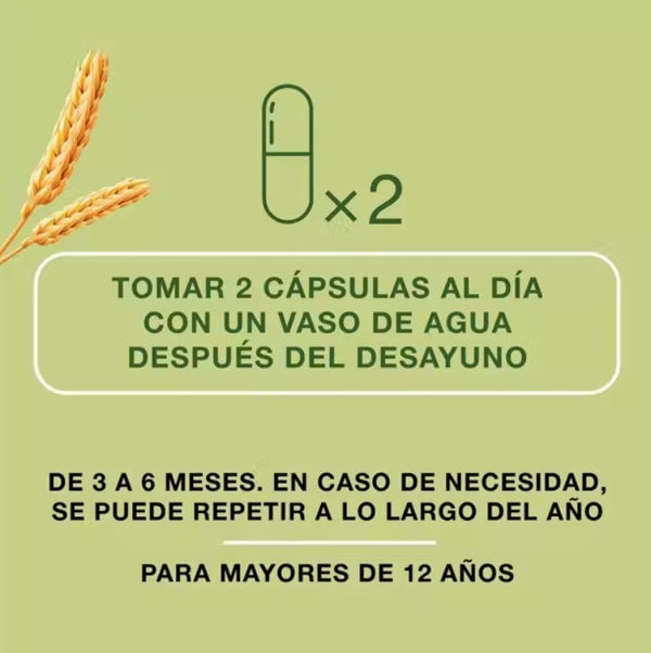 Priorin Anticaída 60 cápsulas