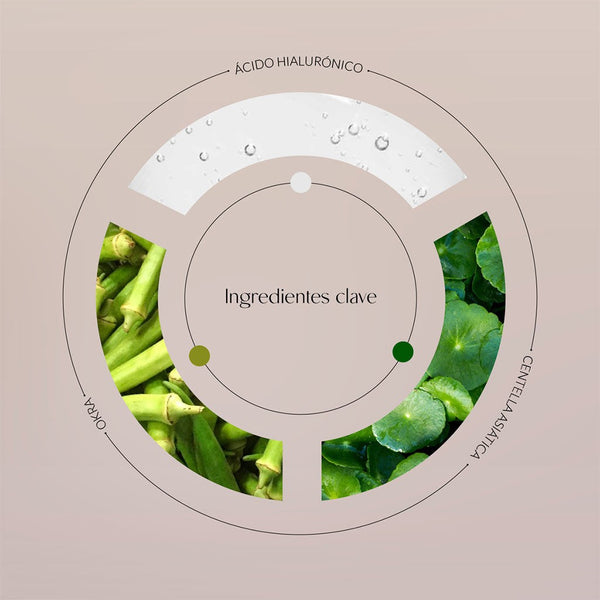 Byoode Hyaluronic & Okra Allegory 30 ml