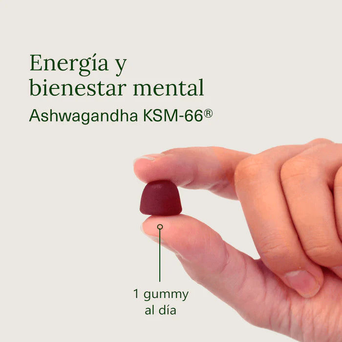Aldous Ashwagandha en gominolas 120 gummies