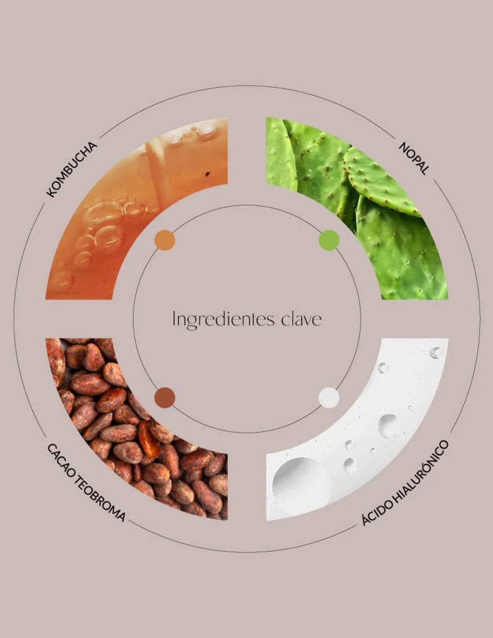 Byoode Nopal & Kombucha Metaphor tónico facial antioxidante 125 ml