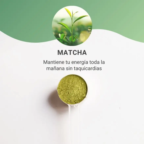 BAIA Matcha Orgánico Ceremonial de Japón 50 g