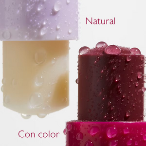 Caudalie Vinotherapist Tratamiento para Labios con Color 4,5 g