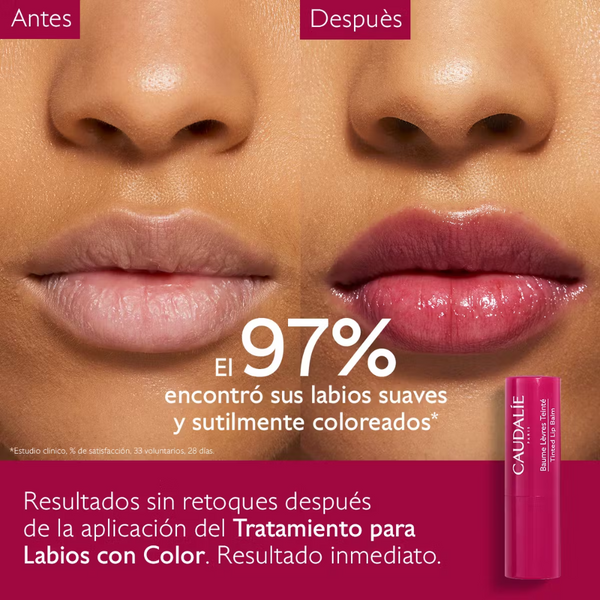 Caudalie Vinotherapist Tratamiento para Labios con Color 4,5 g