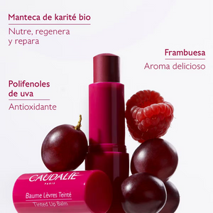 Caudalie Vinotherapist Tratamiento para Labios con Color 4,5 g