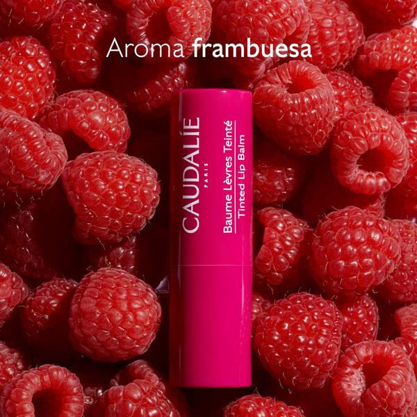 Caudalie Vinotherapist Tratamiento para Labios con Color 4,5 g