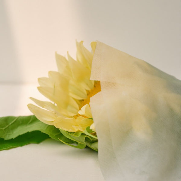 Boutijour Lotus Water Calming Mask 1 Unidad