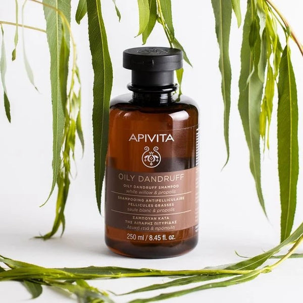 Apivita Champú Anticaspa Grasa con sauce blanco & propóleo 250 ml