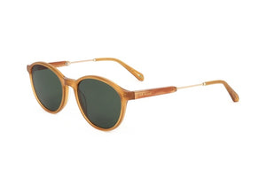 Ted Baker Gafas de sol de acetato para hombre color miel