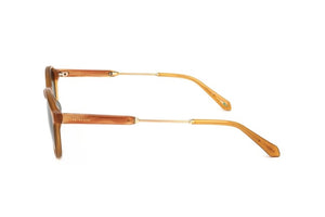 Ted Baker Gafas de sol de acetato para hombre color miel