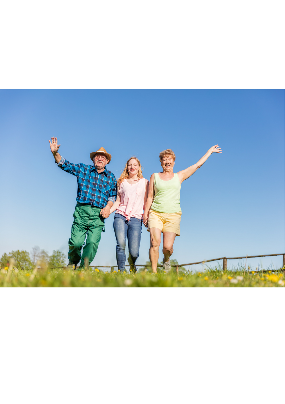 Vegemedica Vegetransit Complemento