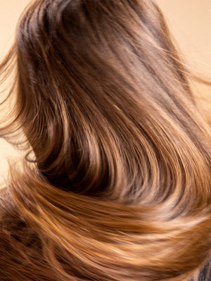 Sisley Hair rituel champú nutritivo
