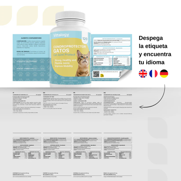 Vittalogy Condroprotector Gatos 120 cápsulas