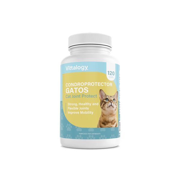 Vittalogy Condroprotector Gatos 120 cápsulas