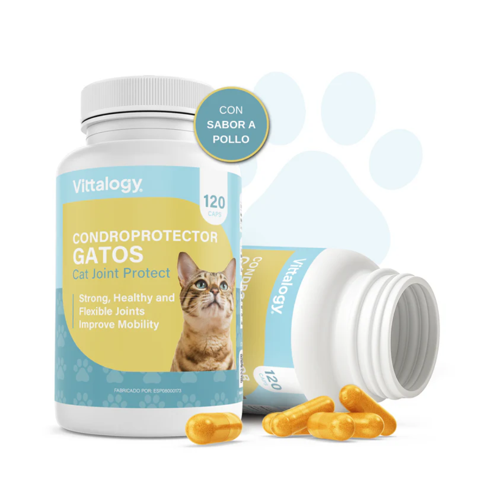Vittalogy Condroprotector Gatos 120 cápsulas