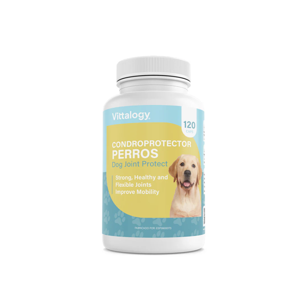 Vittalogy Condroprotector Perros 120 cápsulas