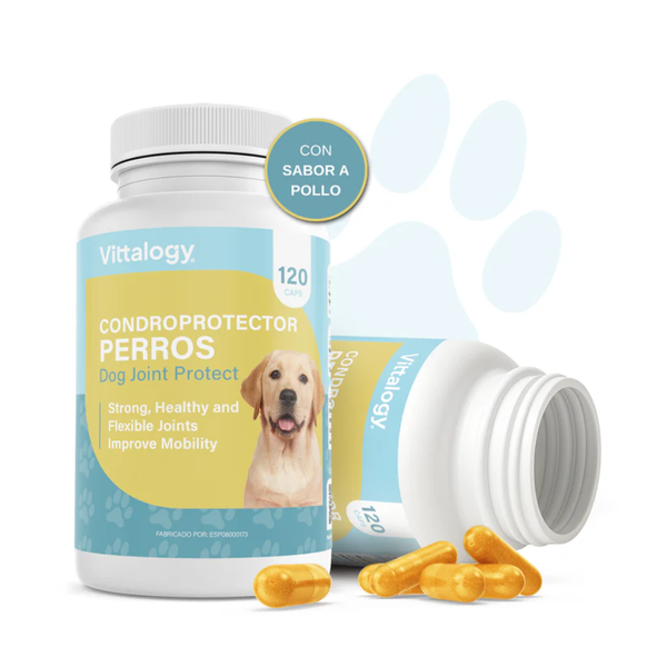 Vittalogy Condroprotector Perros 120 cápsulas