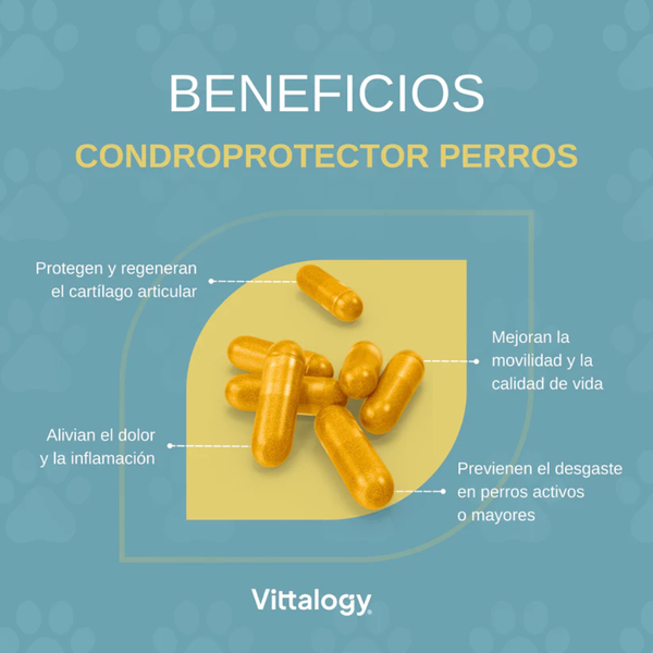 Vittalogy Condroprotector Perros 120 cápsulas
