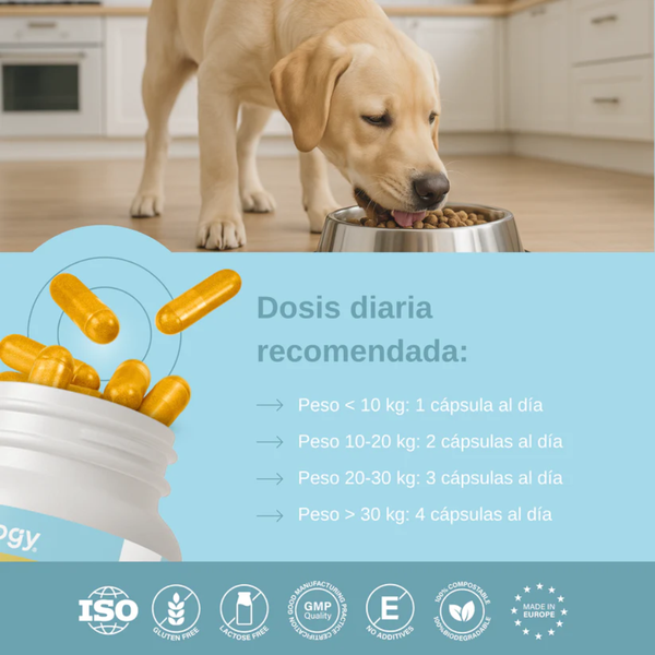 Vittalogy Condroprotector Perros 120 cápsulas