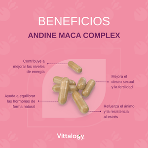 Vittalogy Maca Premium 120 cápsulas