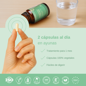 Vittalogy Probiotics & Enzymes 60 cápsulas