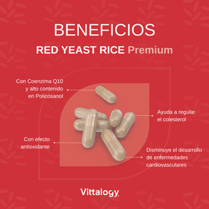 Vittalogy Red Yeast Premium 120 cápsulas