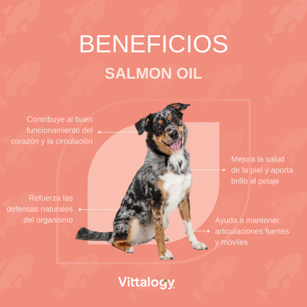 Vittalogy Salmon Oil 500 ml
