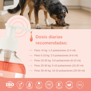 Vittalogy Salmon Oil 500 ml