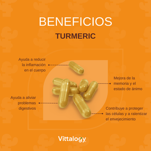 Vittalogy Turmeric Premium 120 cápsulas