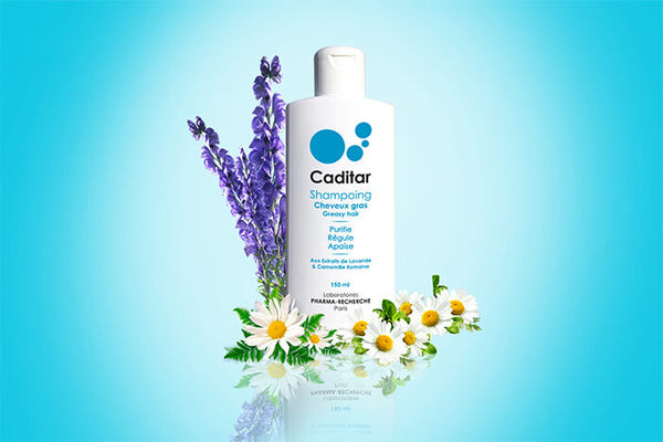 CADITAR Champô cabelo oleoso. Com extratos de lavanda e camomila romana
