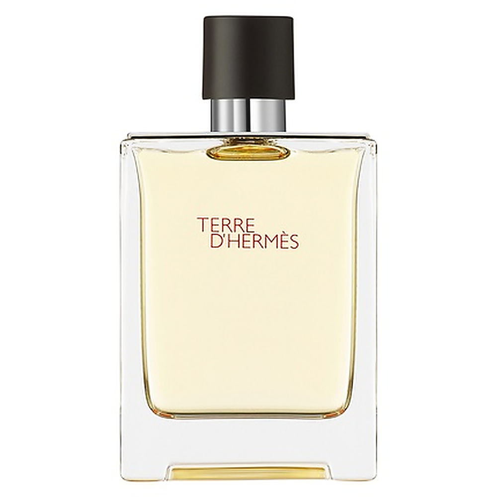 Hermes Terre D' Edt 100 ml de Hermès