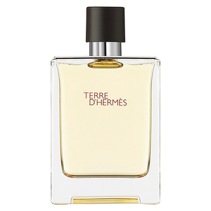 Hermes Terre D' Edt 100 ml de Hermès
