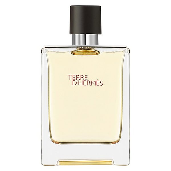 Hermes Terre D' Edt 100 ml de Hermès